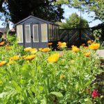 The garden in bloom at Sycamores